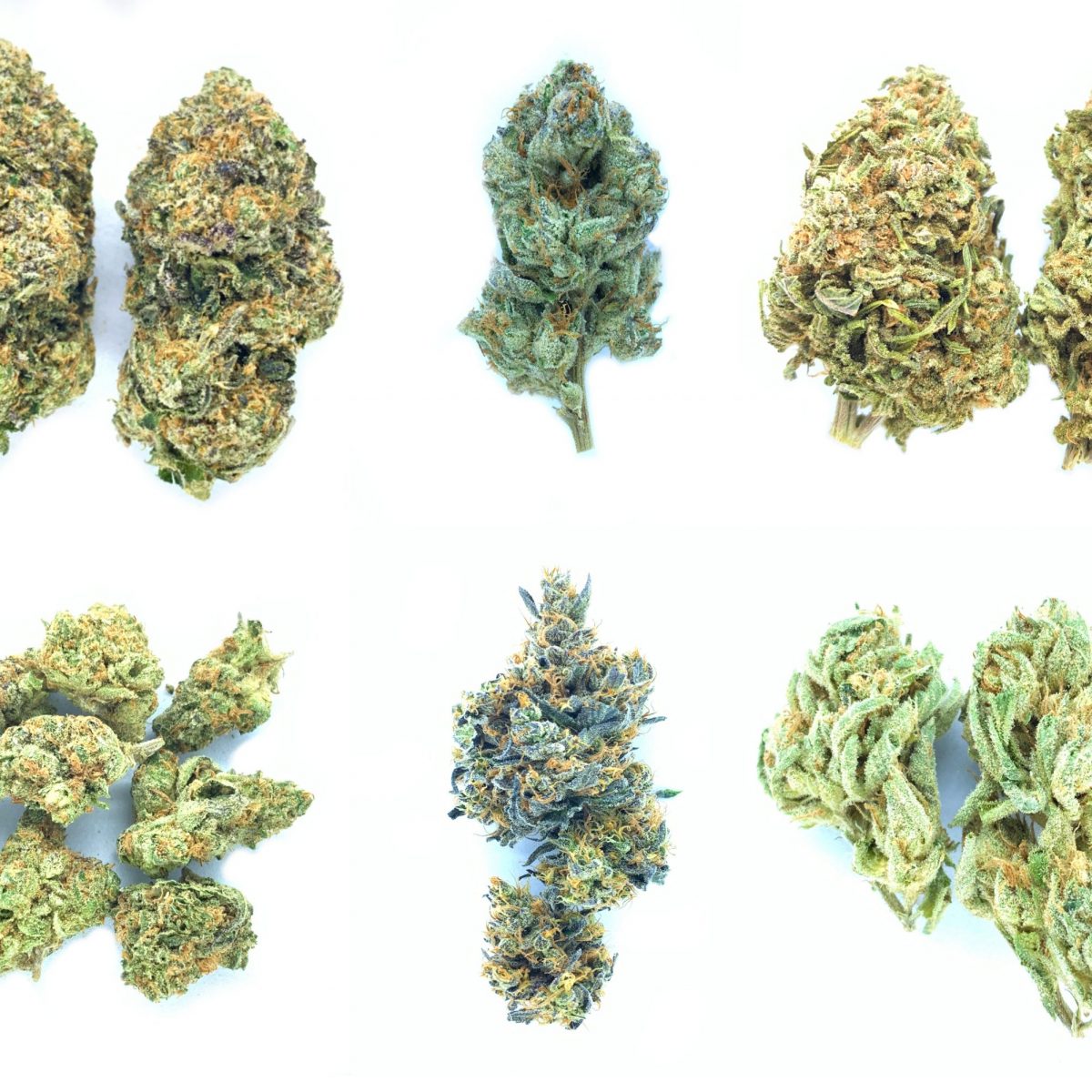 Sativa Grab Bag