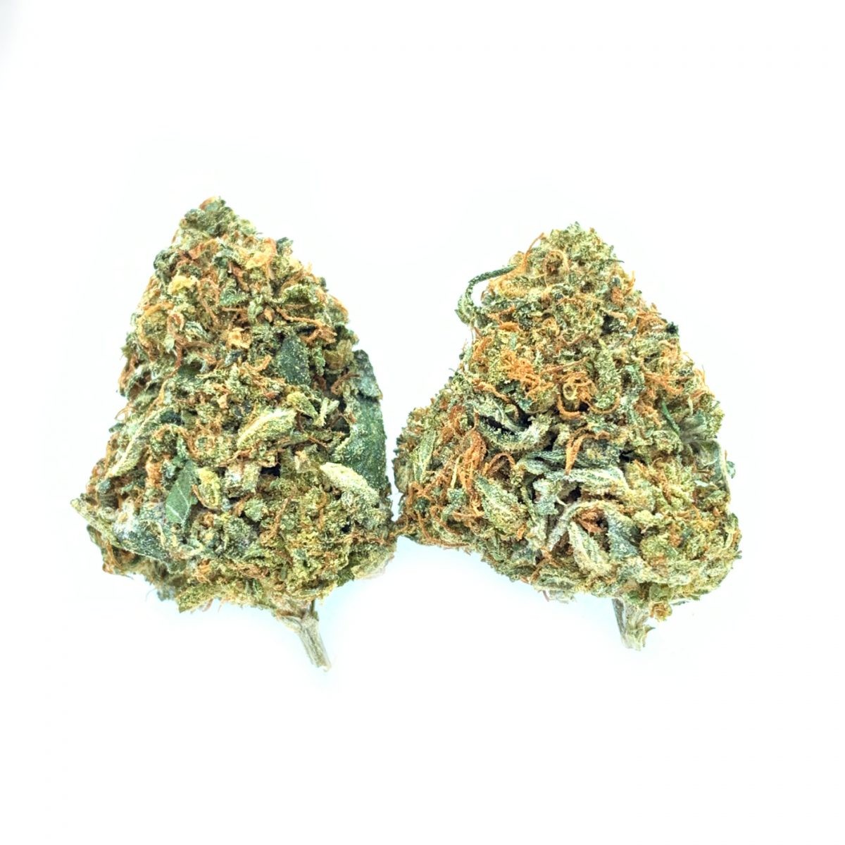Pineapple Congo