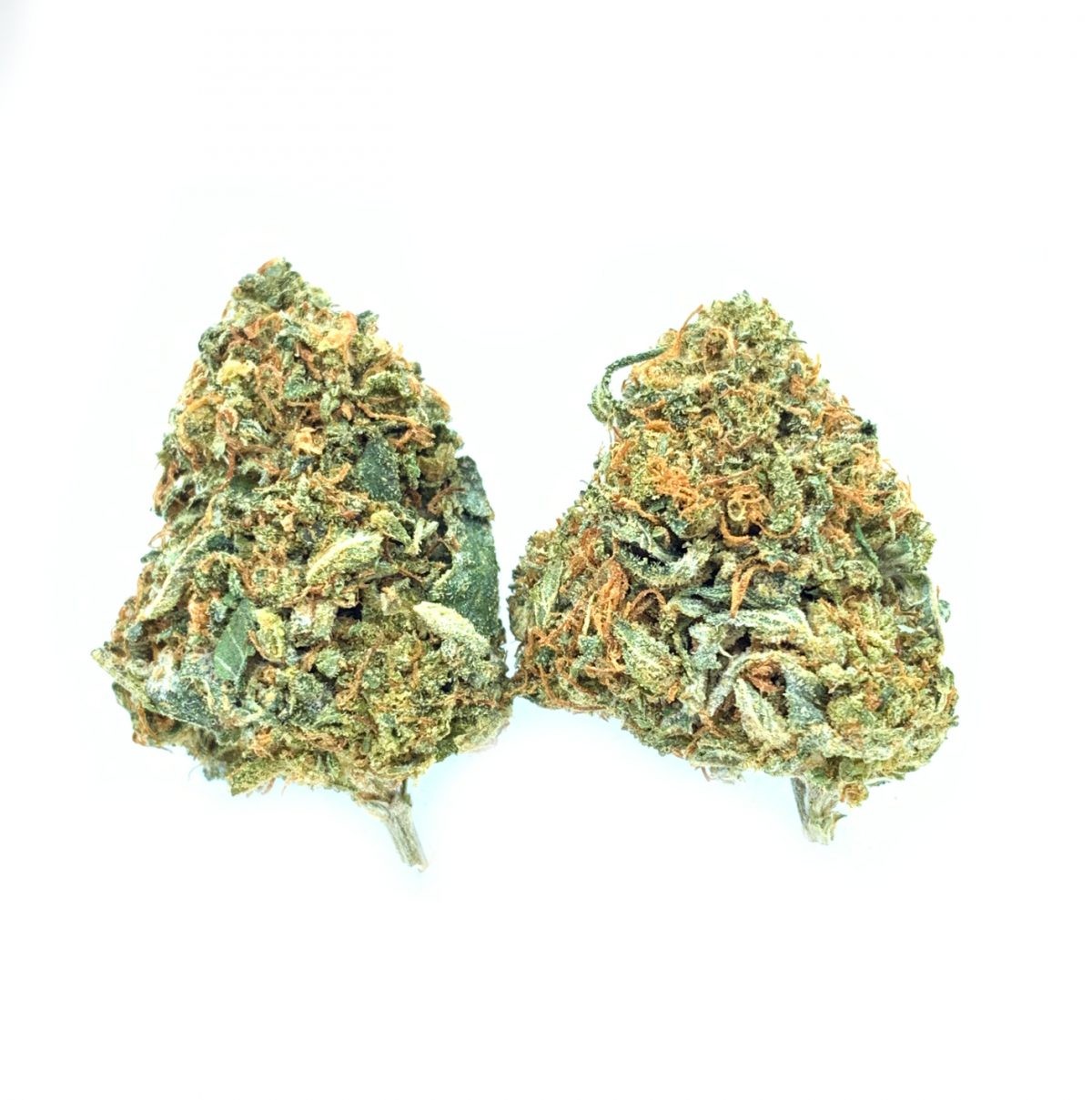 Pineapple Congo