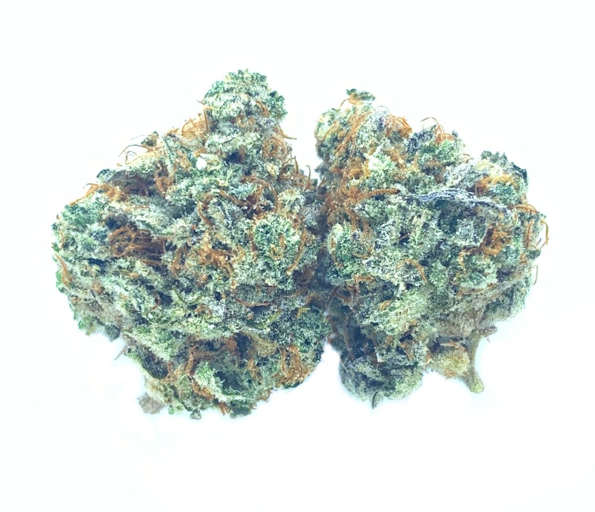 Purple Kush *Special $100 Ounces*