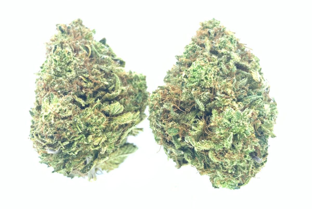 Gelato