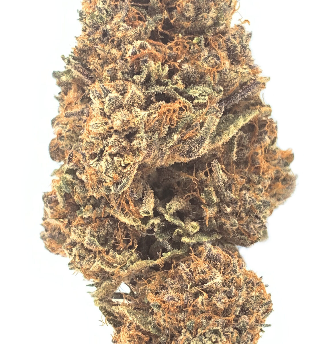 Curó Amethyst Frost