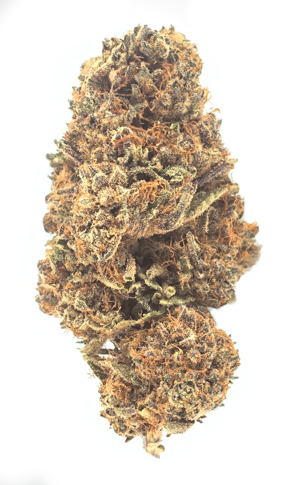 Curó Amethyst Frost