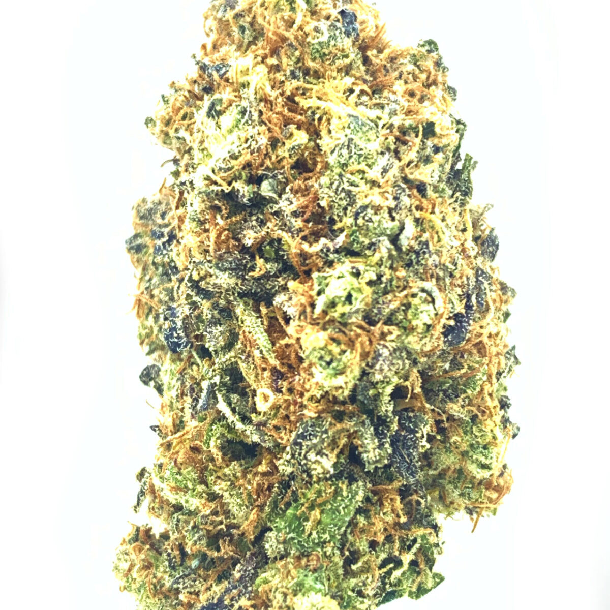 Blueberry