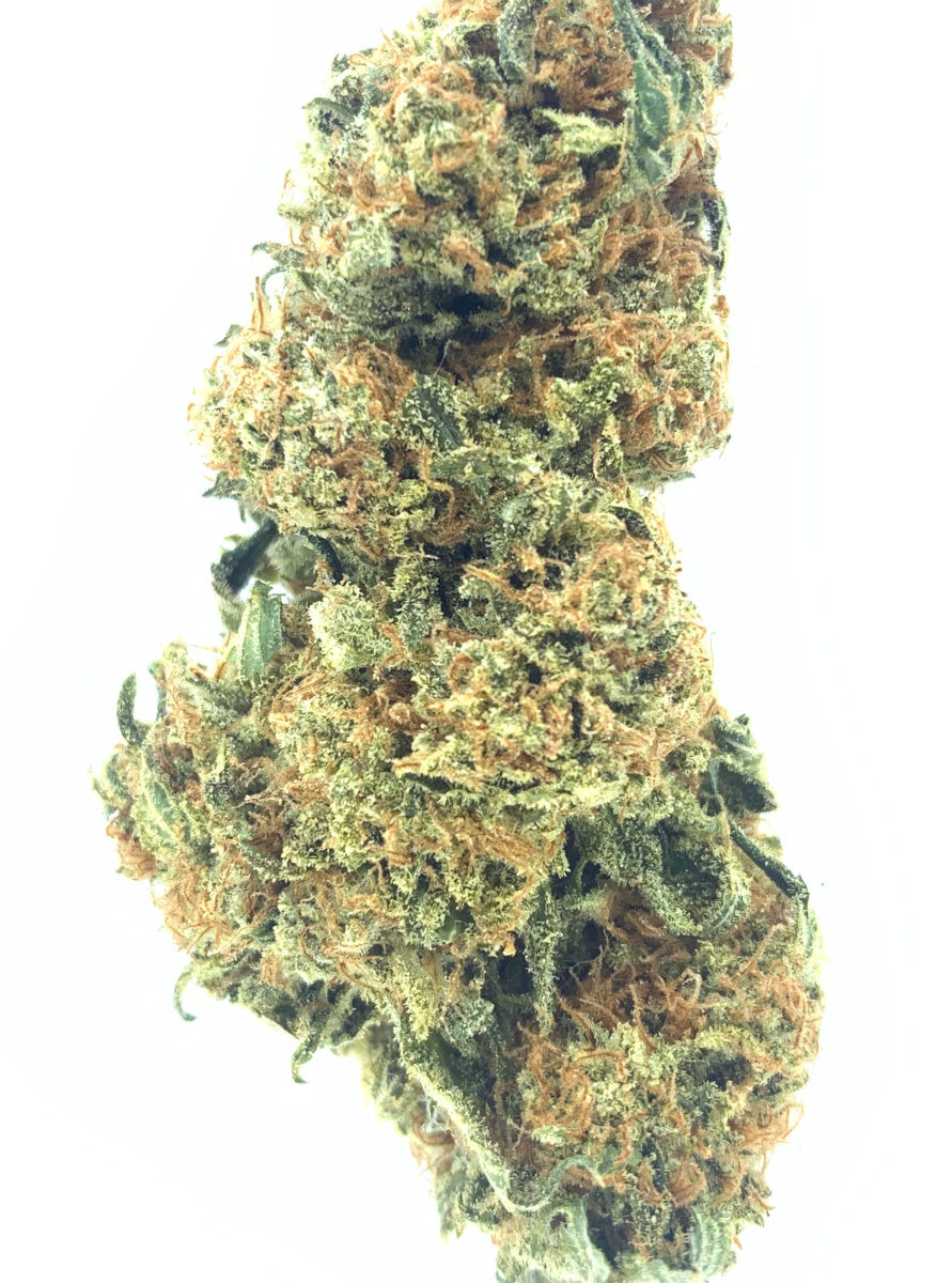 *NEW* Curó Champagne Grapes