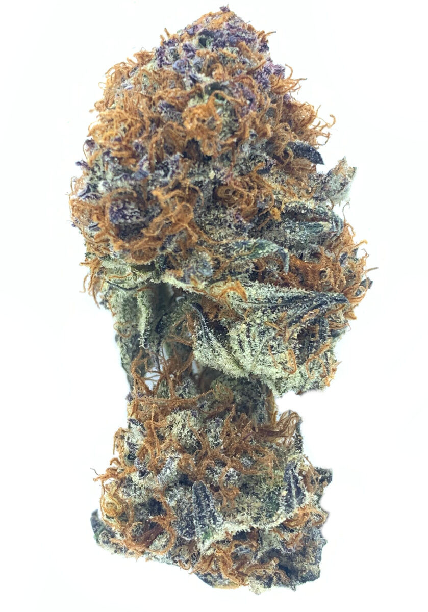 PB+J Dream