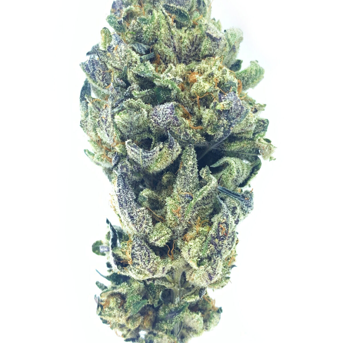 Stargazer