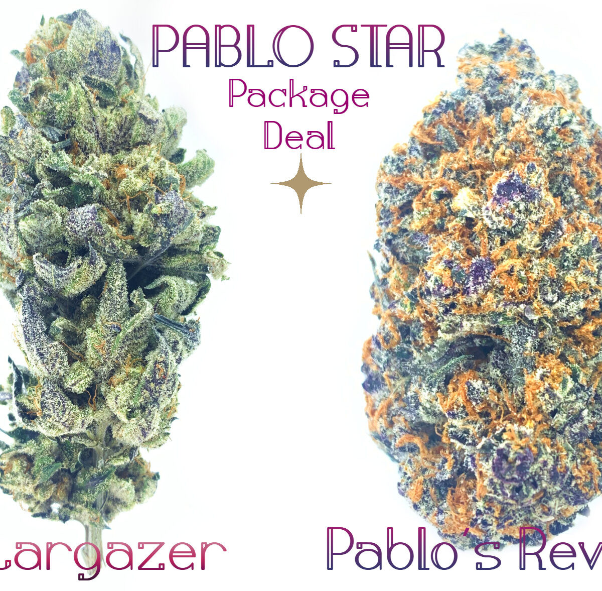 Pablo Star **Long Weekend Sale** - Package Deal