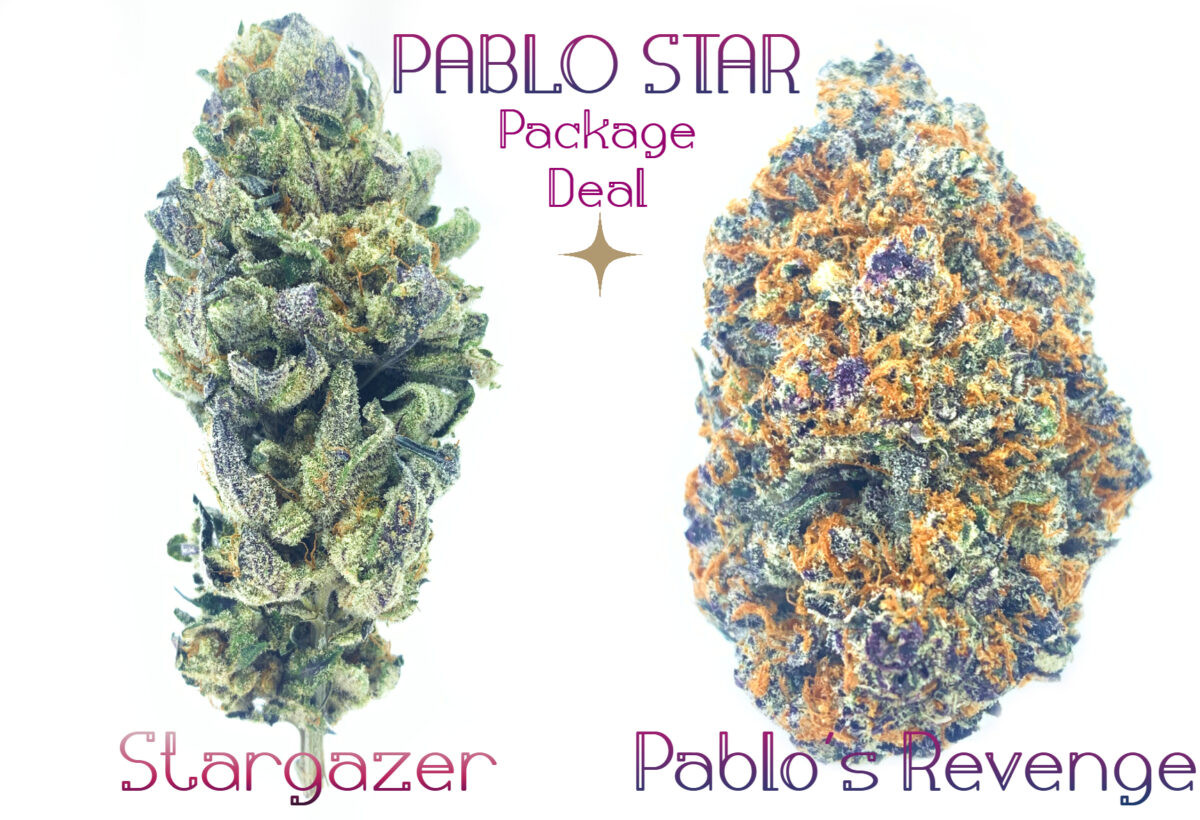 Pablo Star **Long Weekend Sale** - Package Deal
