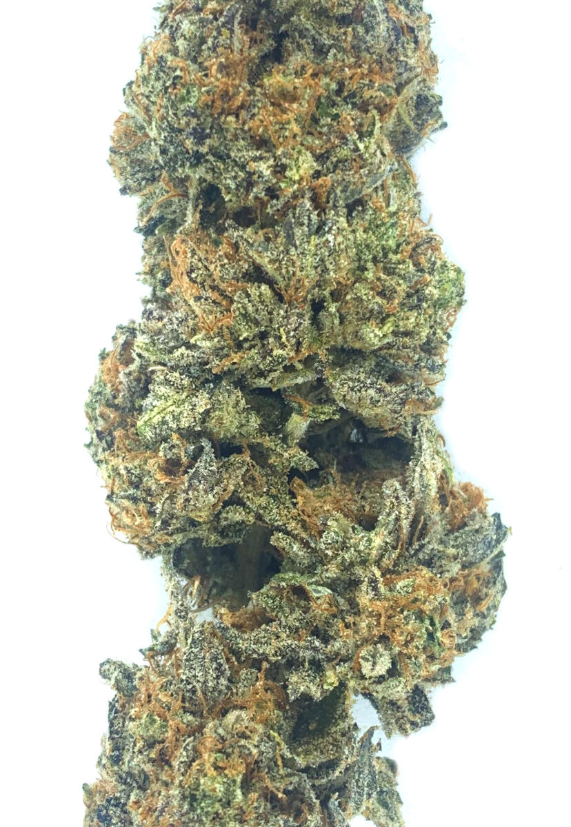 Peanut Butter Falcon