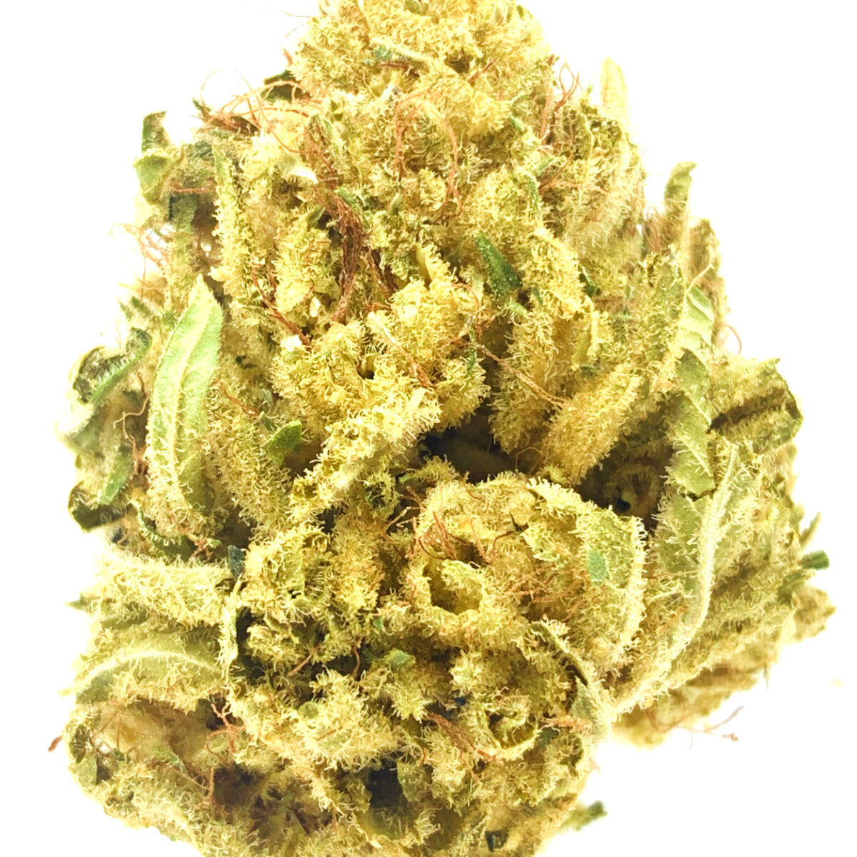 Curó Dutch Treat