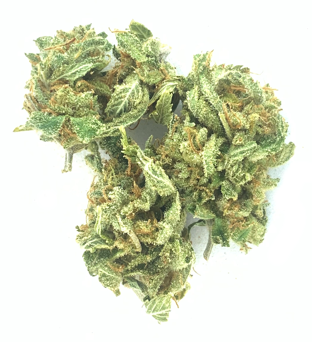 Glitter Bomb $150/Ounce