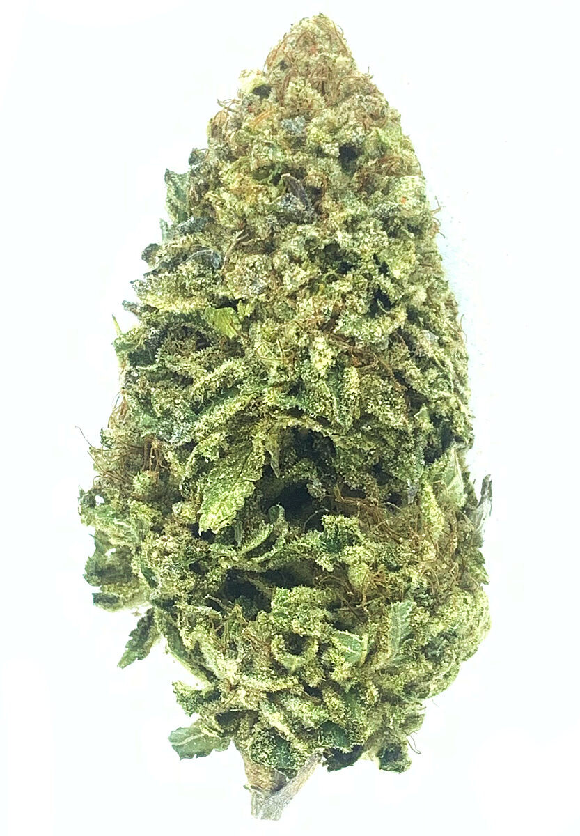 Jet Fuel
