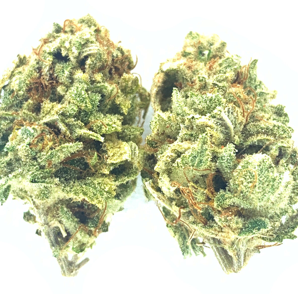 *NEW* Candy Fumez
