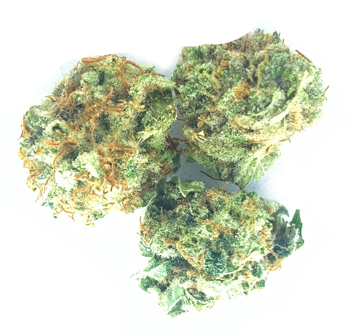 *NEW* Cariboo Cookies