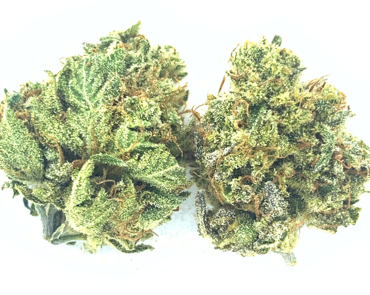 *NEW* Purple Pineapple